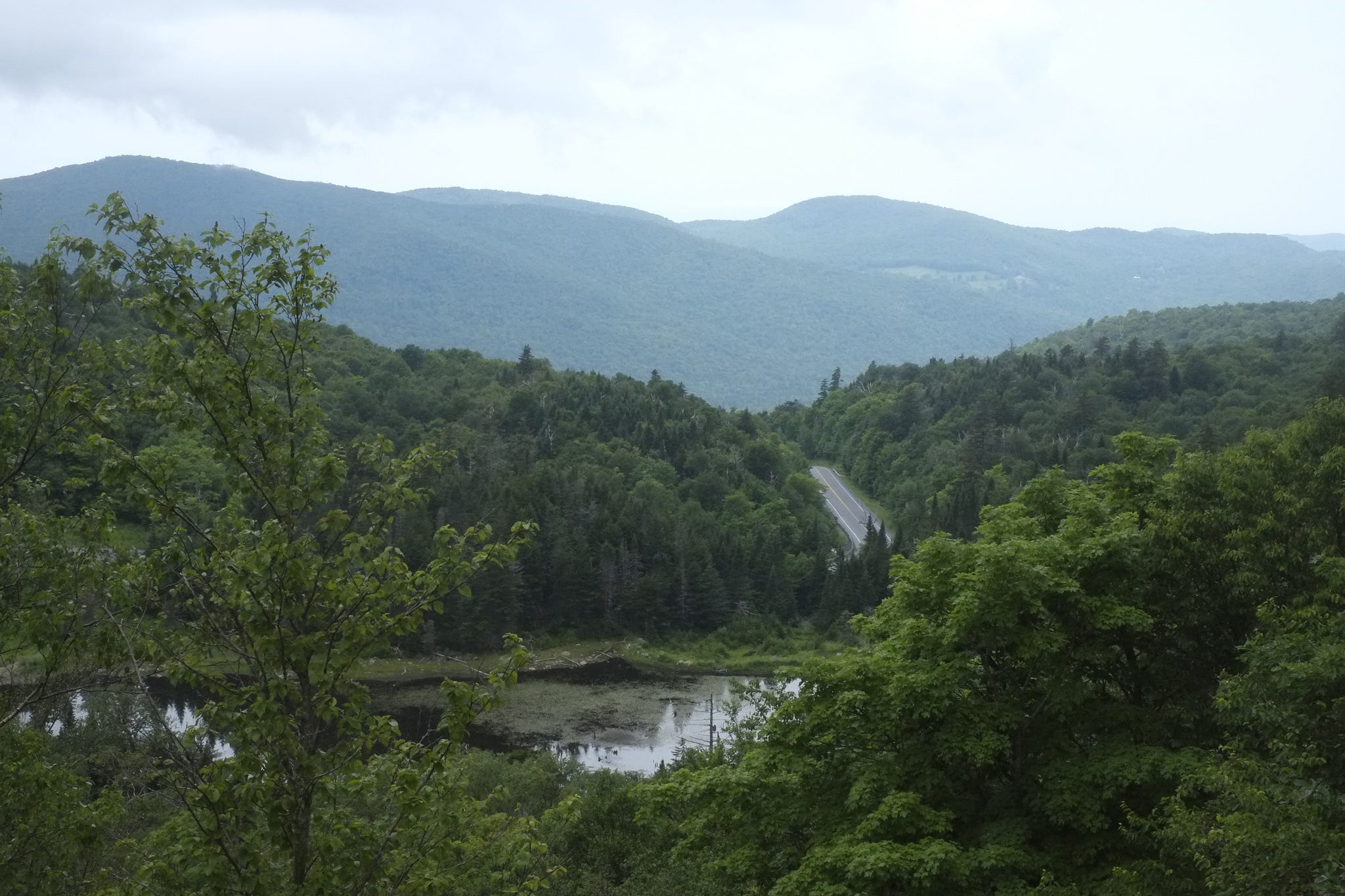 A road cuts through mountains and between green trees behind a small body of water.